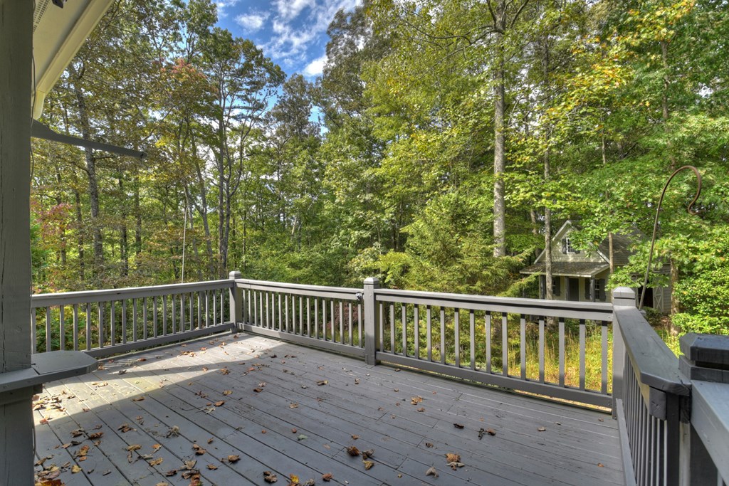 67 Plantation Lane Blue Ridge, GA 30513 - Photo 18 of 50