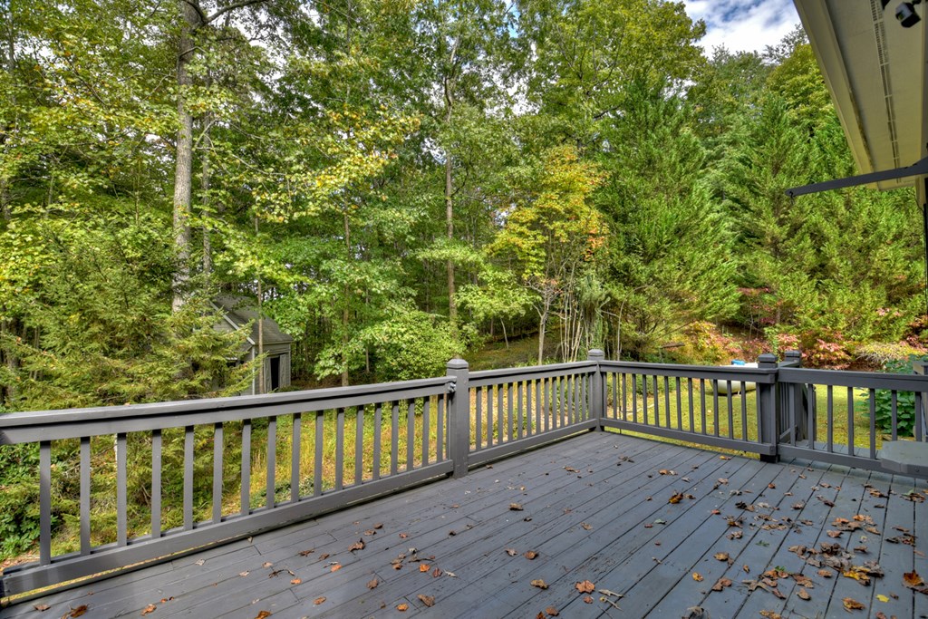 67 Plantation Lane Blue Ridge, GA 30513 - Photo 22 of 50