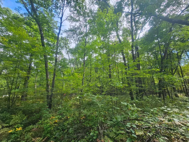 $33,500 | Lot 5 Ken Can Lane, Webster, WI 54893
