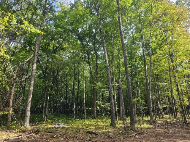 $33,500 | Lot 5 Ken Can Lane, Webster, WI 54893