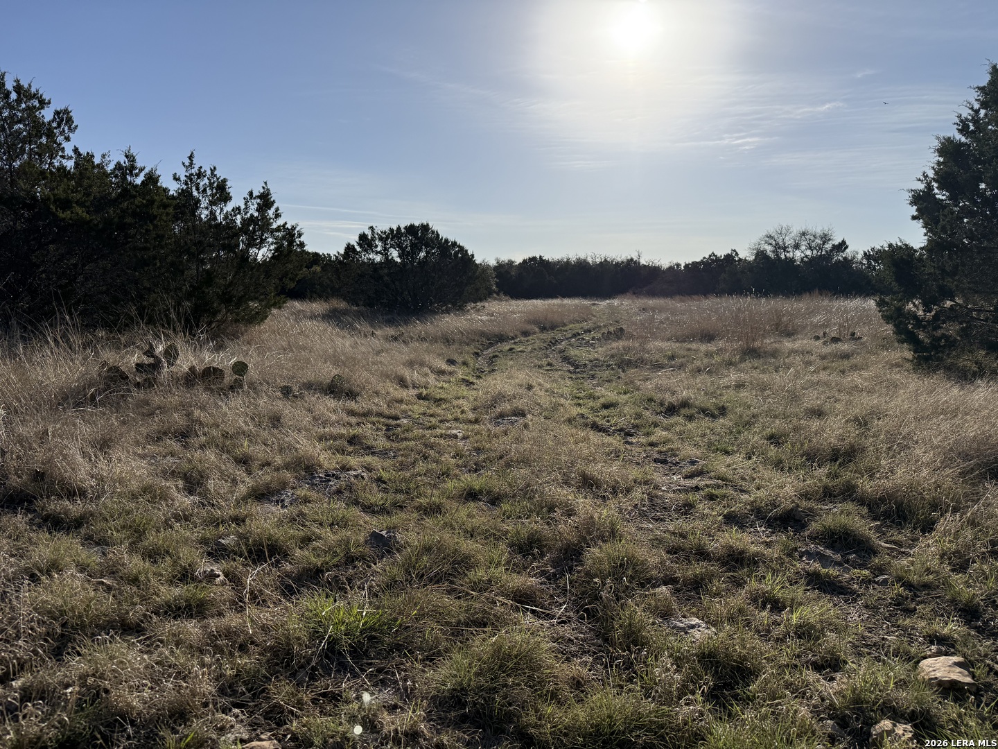 Lot 3 D North Laird Road Harper, TX 78631 - Photo 1 of 22