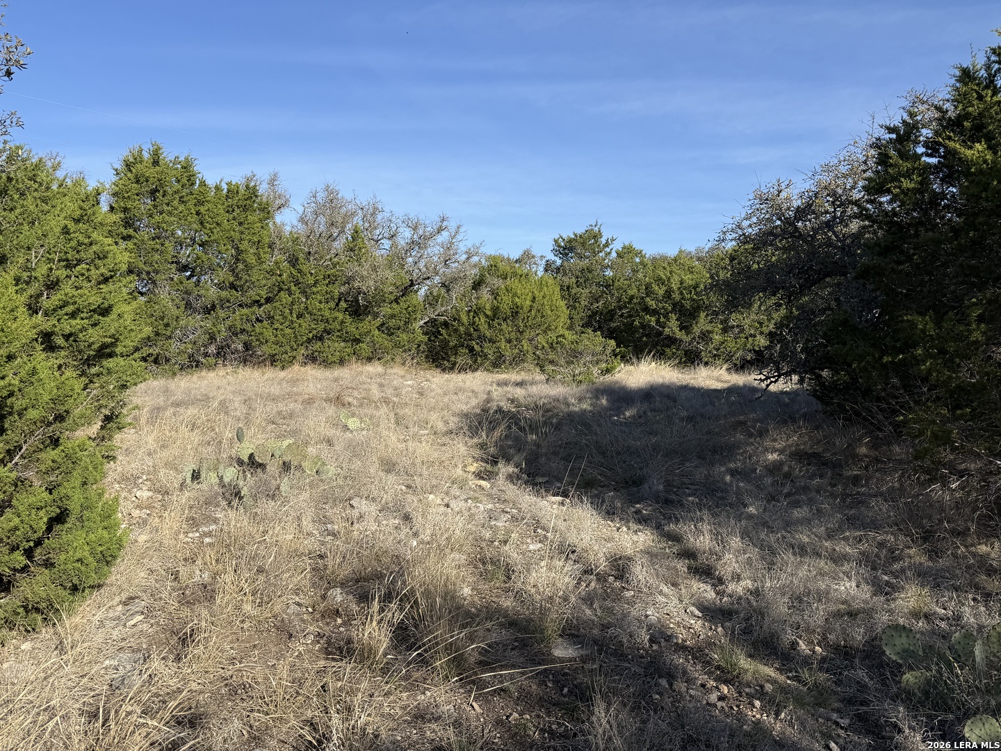 Lot 3 D North Laird Road Harper, TX 78631 - Photo 16 of 22