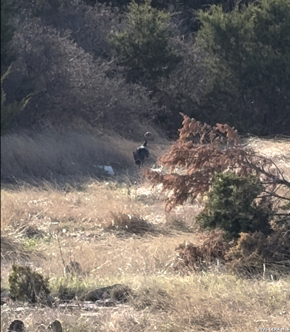 Lot 3 D North Laird Road Harper, TX 78631 - Photo 22 of 22