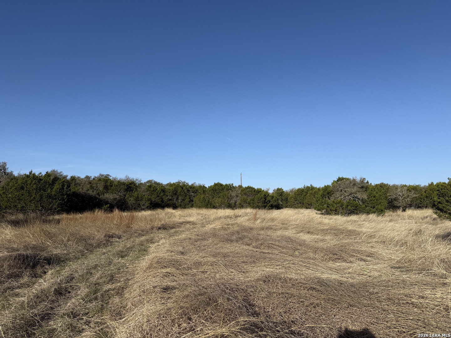 Lot 3 D North Laird Road Harper, TX 78631 - Photo 3 of 22
