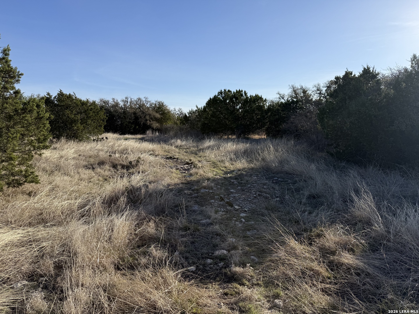 Lot 3 D North Laird Road Harper, TX 78631 - Photo 5 of 22
