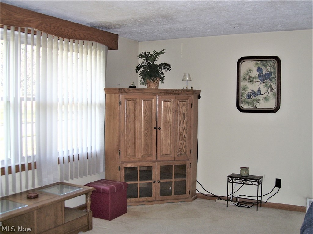 56 South Hickin Street Rittman, OH 44270 - Photo 4 of 25