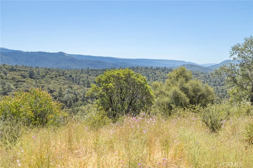 149 Old Yosemite Road Oakhurst, CA 93644 - Photo 25 of 74 Gallery Image 25