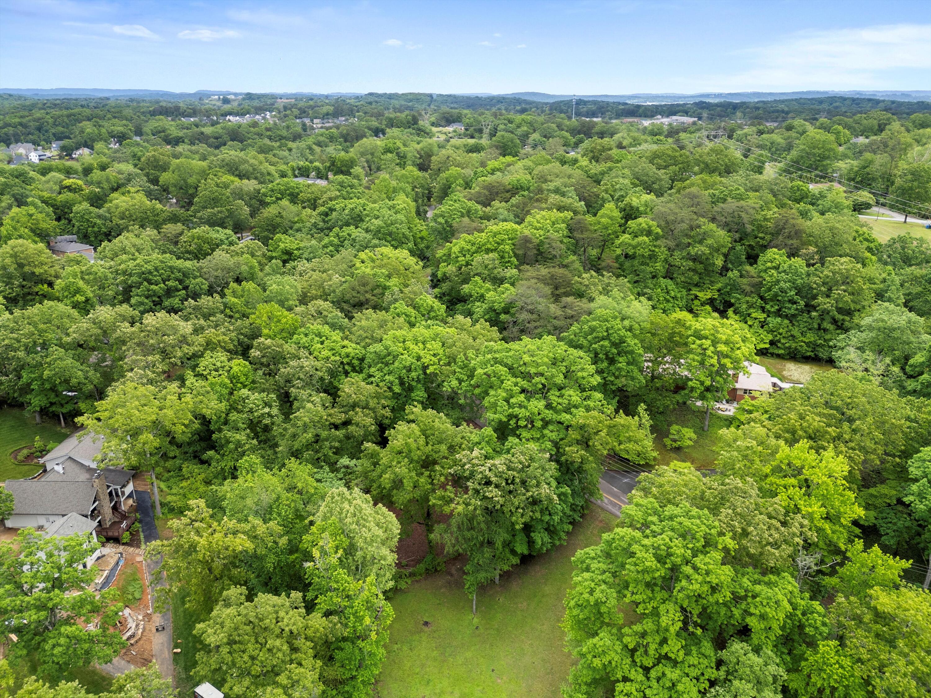03-DJI_0870