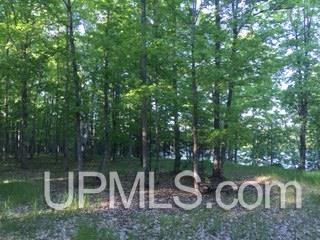 Tbd Maggie Point Road, Unit 11E Crystal Falls, MI 49920 - Photo 9 of 13