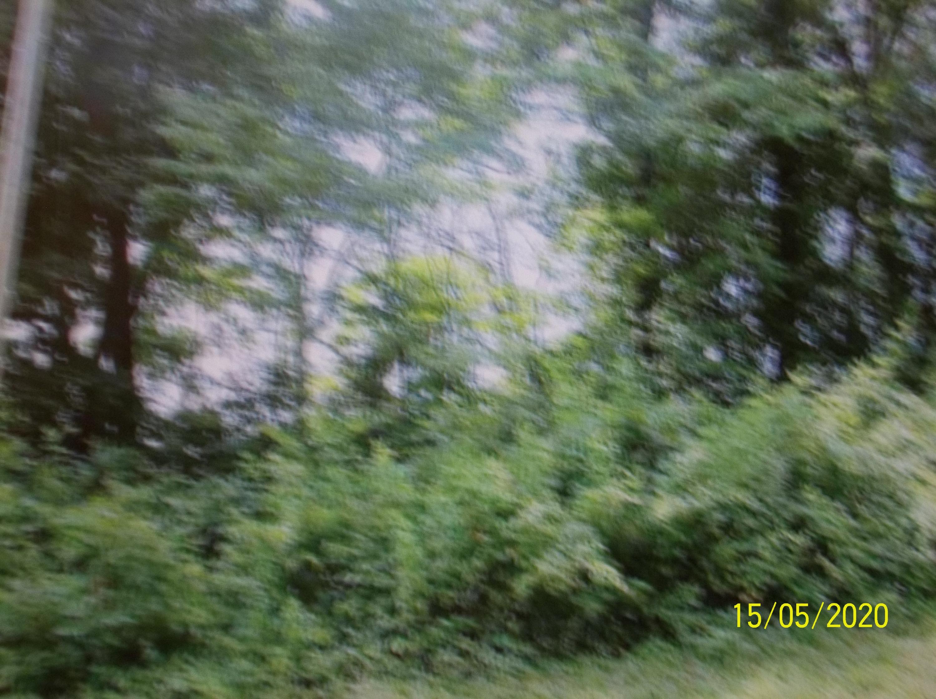 Redbird Lane Rutledge, TN 37861 - Photo 5 of 9 Redbird 007
