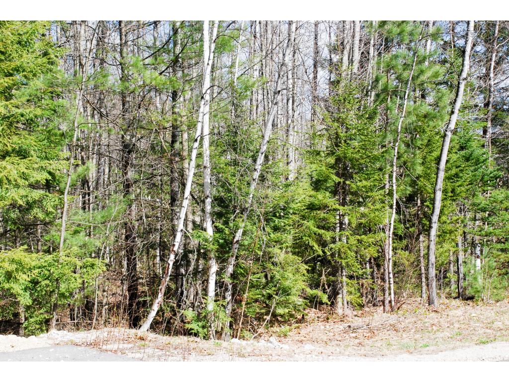 55 Grandview Road Conway, NH 03818 - Photo 1 of 8