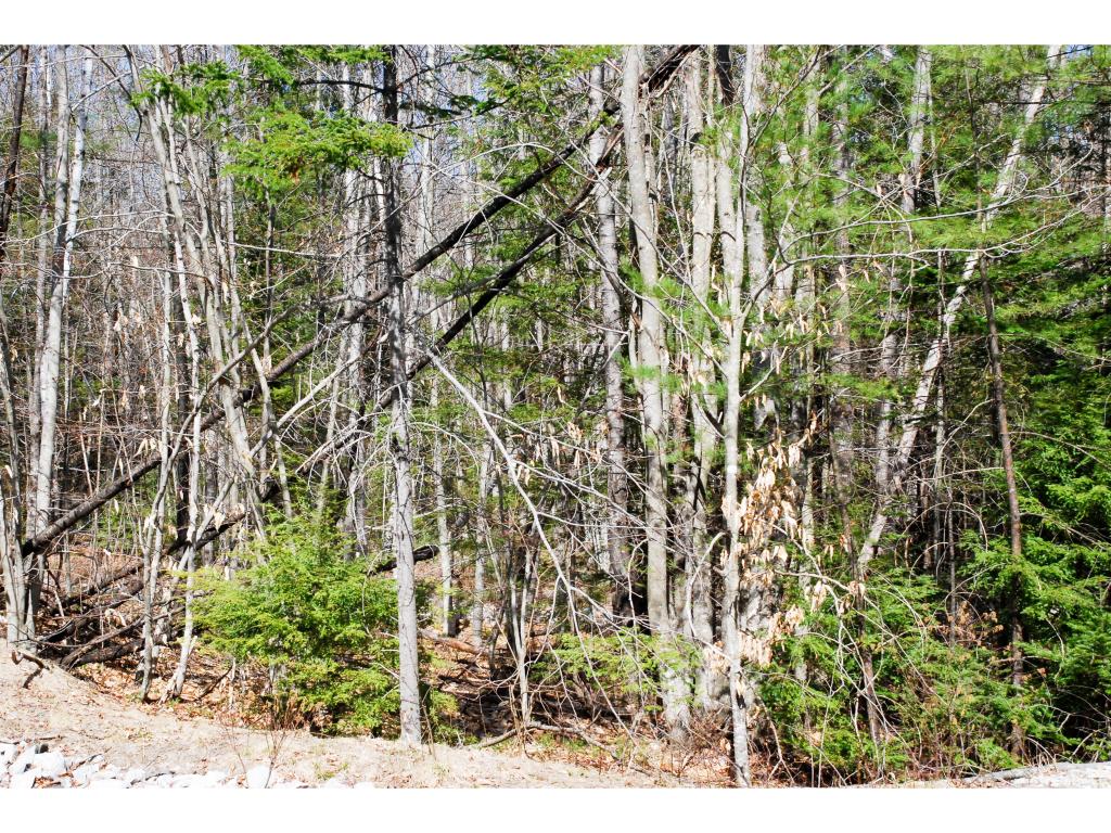 55 Grandview Road Conway, NH 03818 - Photo 5 of 8