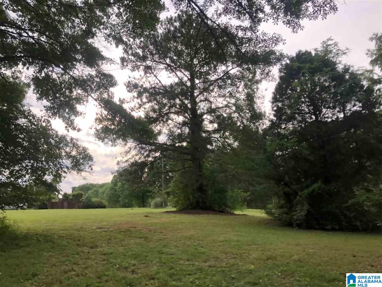 0 Carleton Point Drive, Unit 4 Wilsonville, AL 35186 - Photo 2 of 6