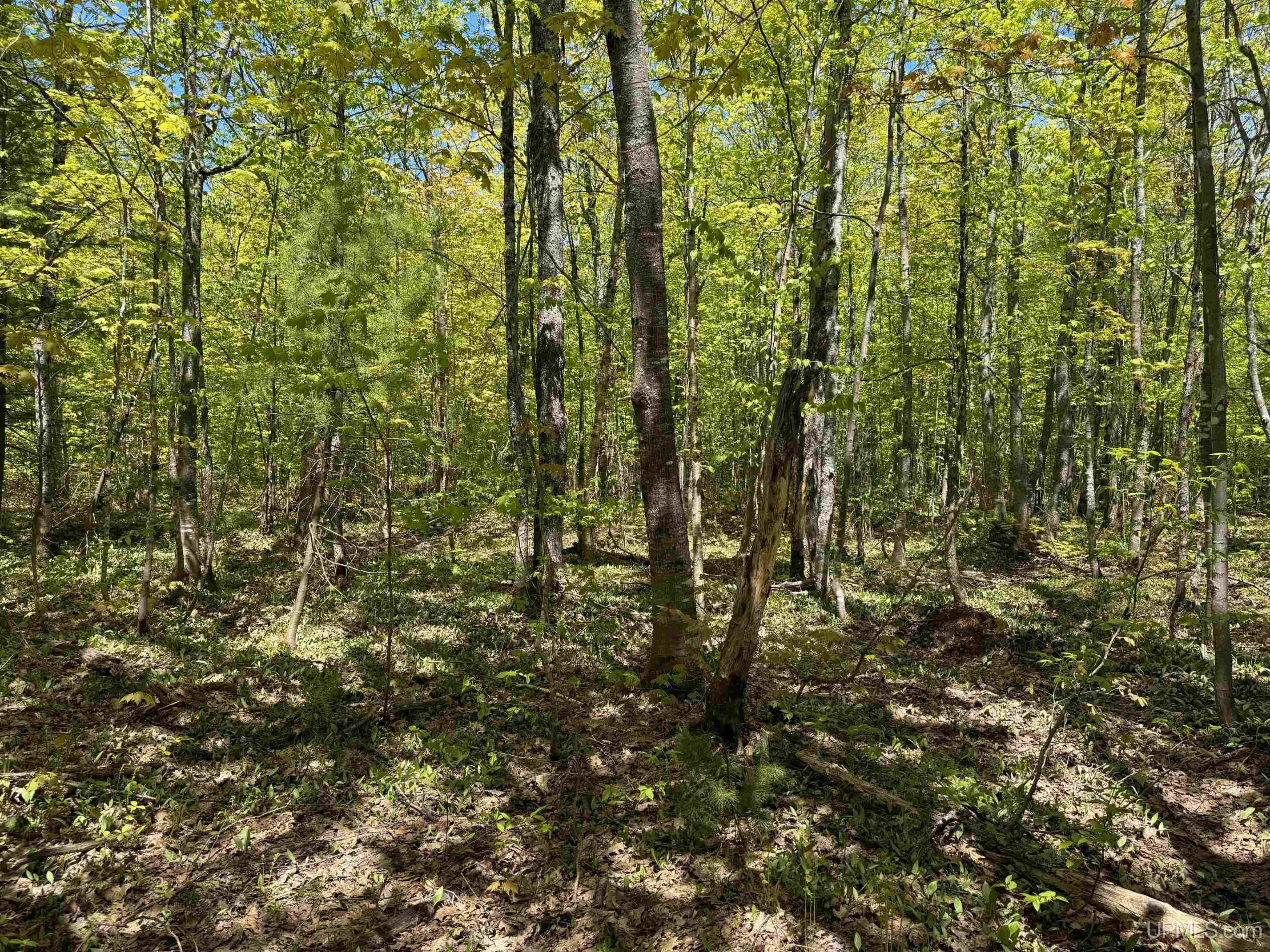 Tbdh Off Winona Road Toivola, MI 49965 - Photo 12 of 14 Gallery Image 12