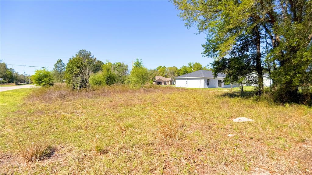 Tbd Tbd Corner Road Ocklawaha, FL 32179 - Photo 11 of 12 a view of swimming pool with an outdoor space and seating area
