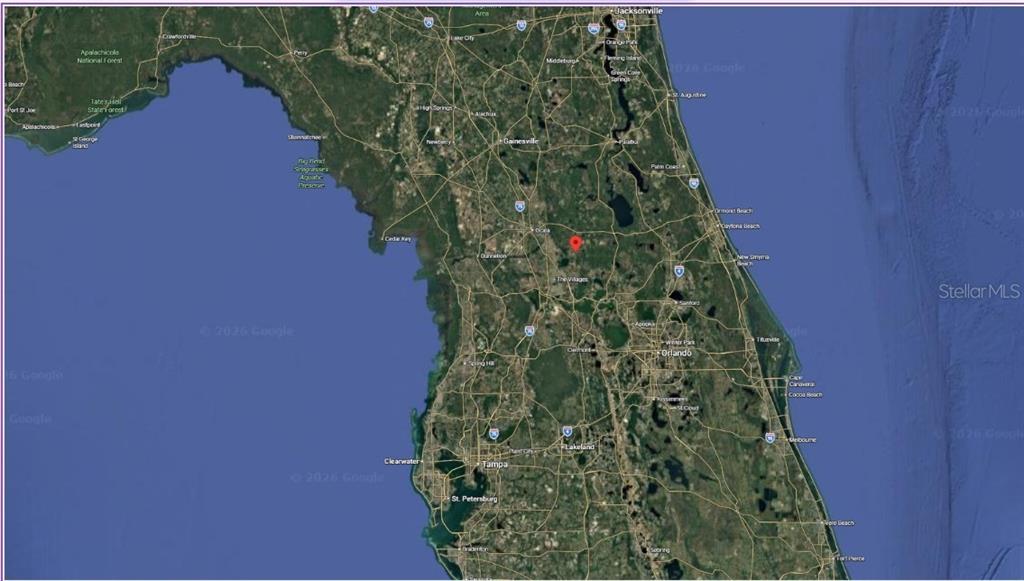 Tbd Tbd Corner Road Ocklawaha, FL 32179 - Photo 5 of 12 a close up of a plant in a garden