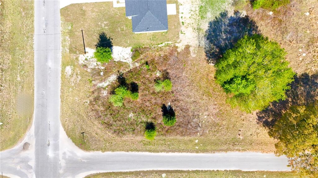 Tbd Tbd Corner Road Ocklawaha, FL 32179 - Photo 10 of 12 a view of a mirror