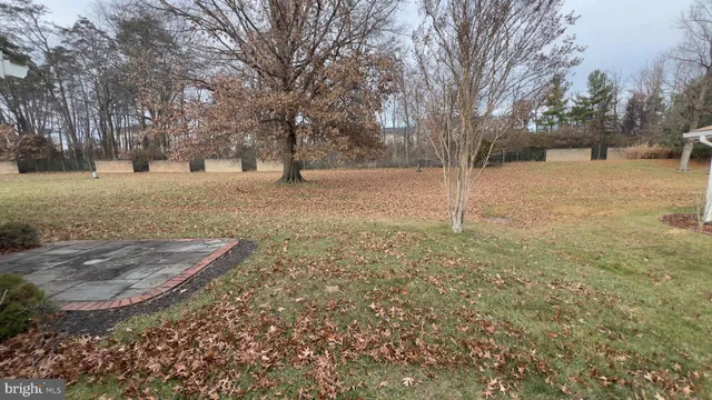 a view of empty yard with large trees