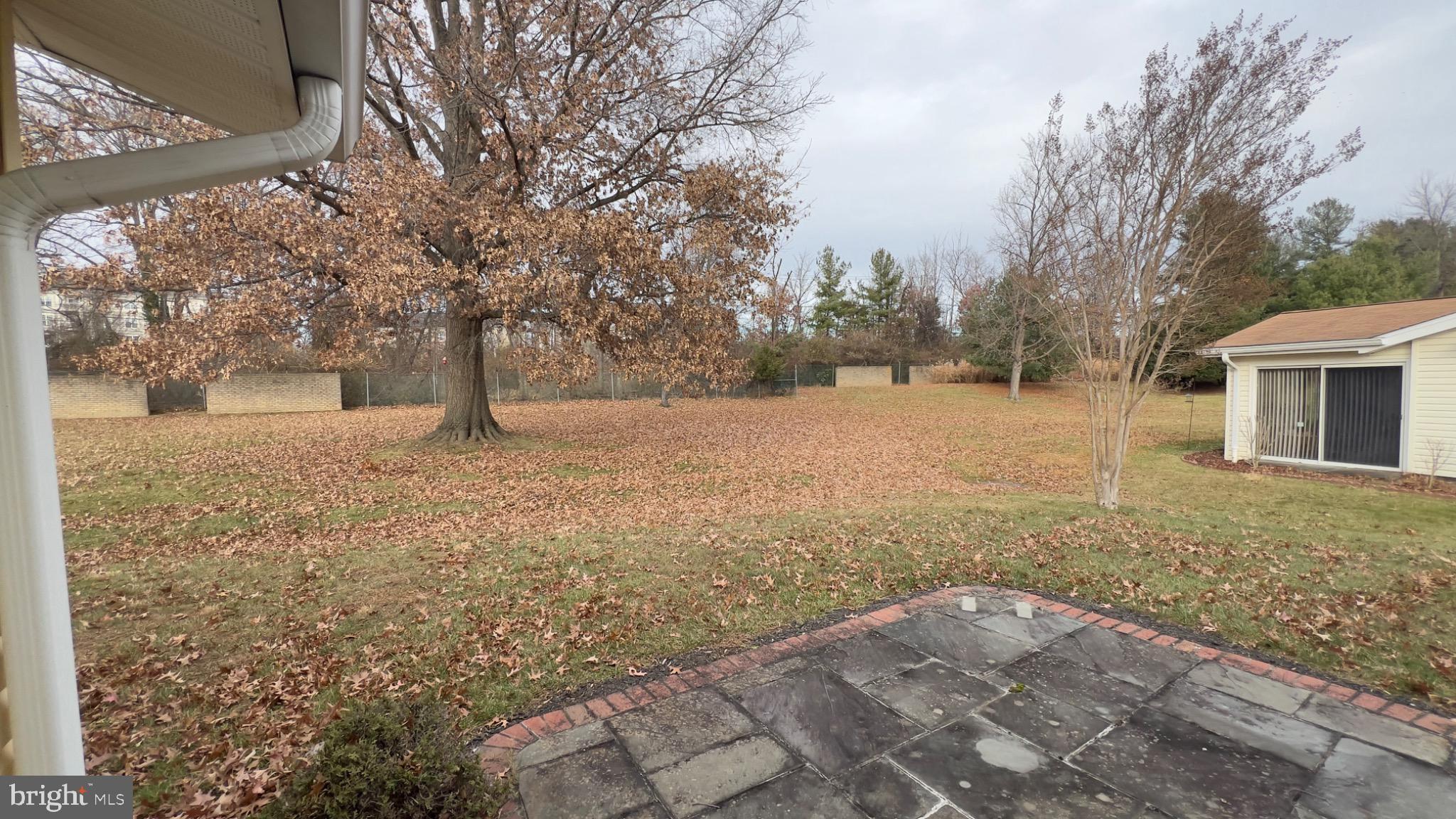 3525 Tarkington Lane, Unit 63B Silver Spring, MD 20906 - Photo 34 of 36 a view of yard with trees