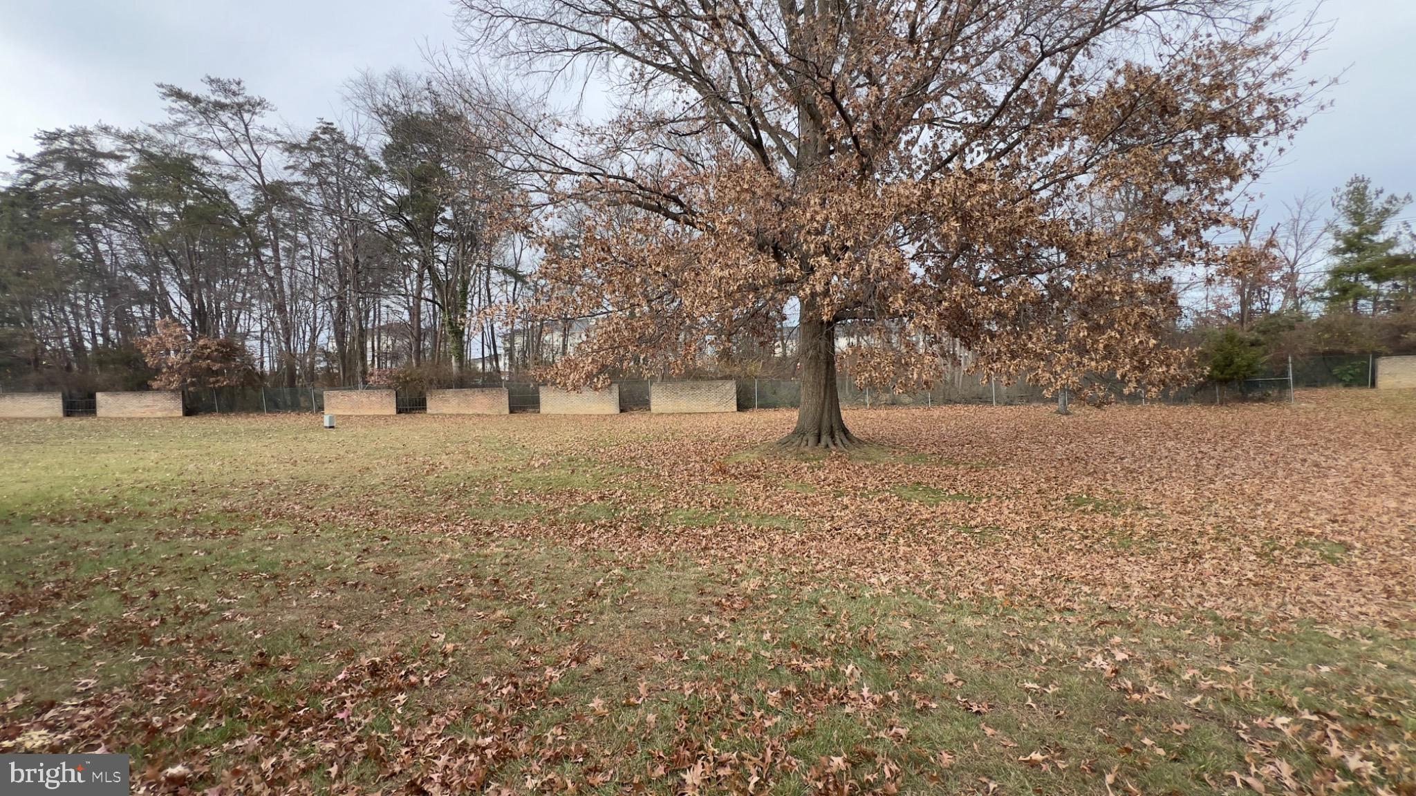3525 Tarkington Lane, Unit 63B Silver Spring, MD 20906 - Photo 35 of 36 a view of empty yard with large trees