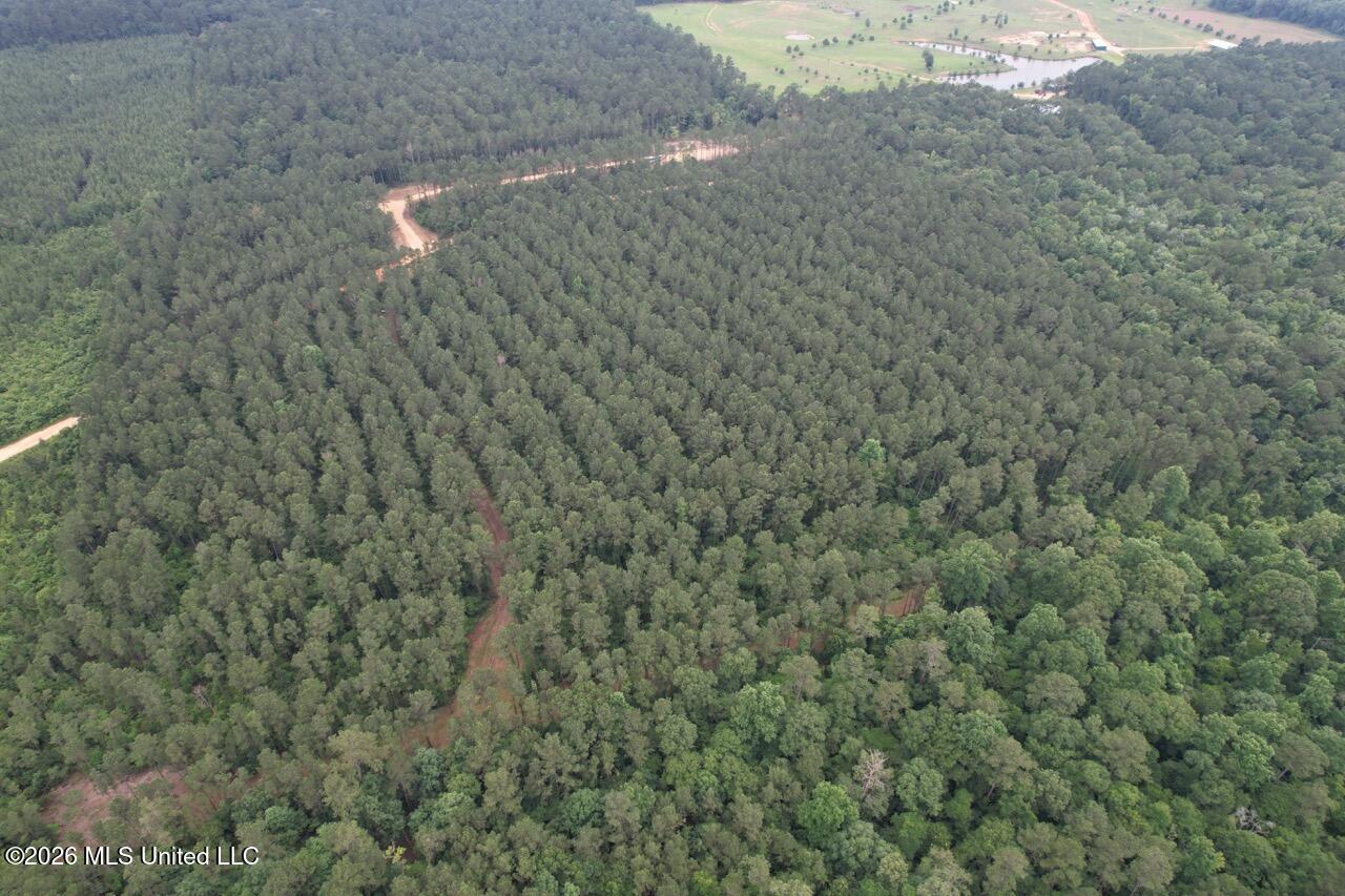 6643 Grange Hall Road Osyka, MS 39657 - Photo 37 of 39 DJI_0155 Large