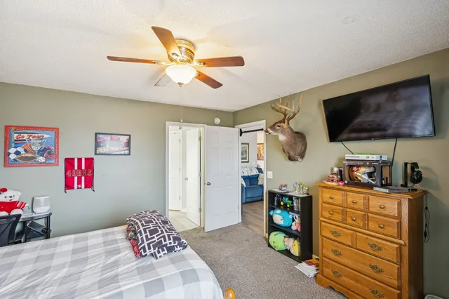 a bathroom with a shower and a toilet