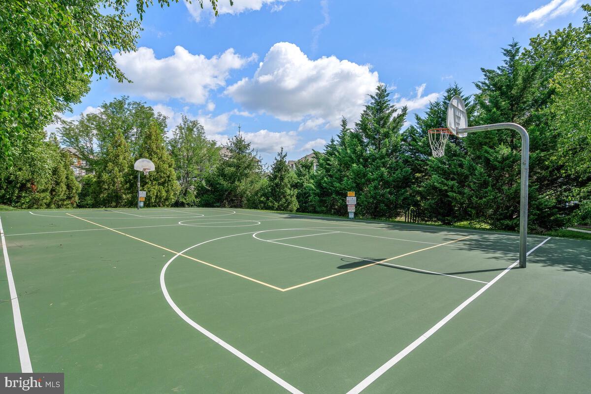 43579 Patching Pond Square Ashburn, VA 20147 - Photo 16 of 18 Basketball Court