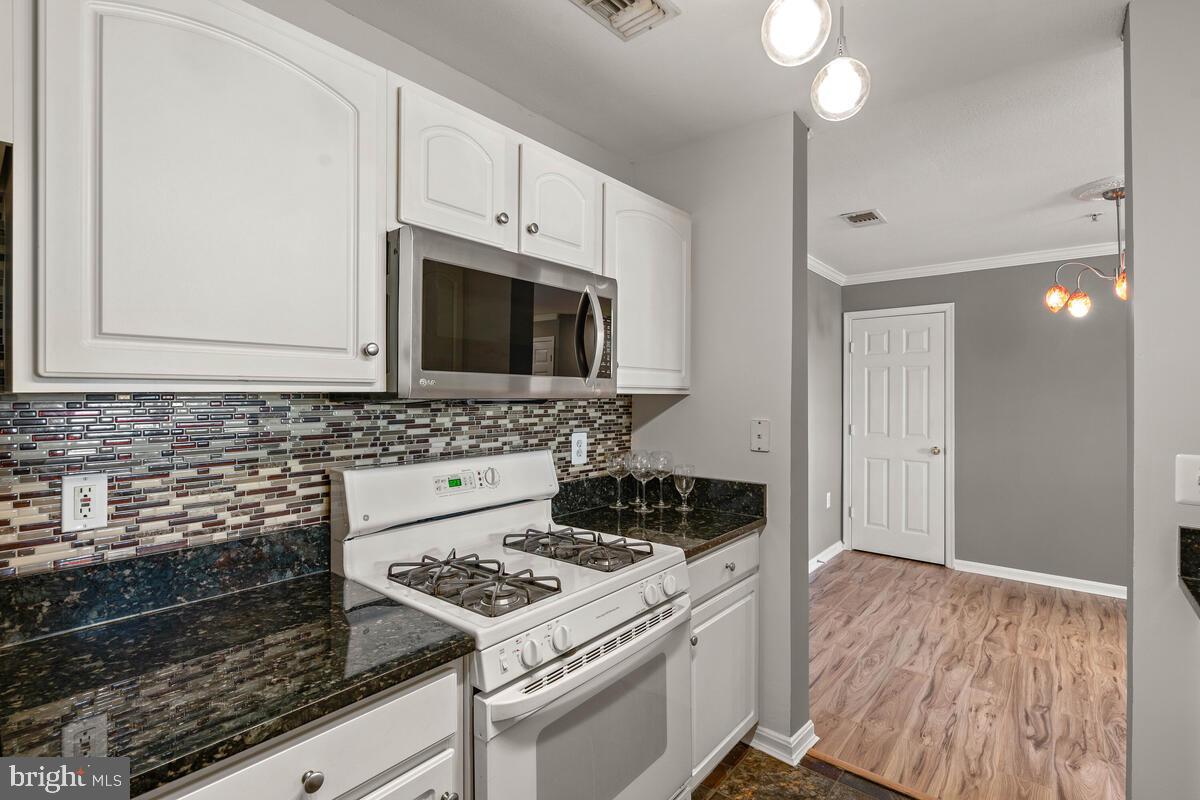 43579 Patching Pond Square Ashburn, VA 20147 - Photo 7 of 18 Kitchen