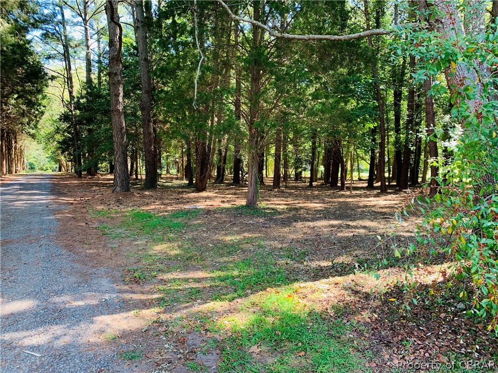 0 Prentice Point Drive Kilmarnock, VA 22482 - Photo 13 of 16 Park Like setting