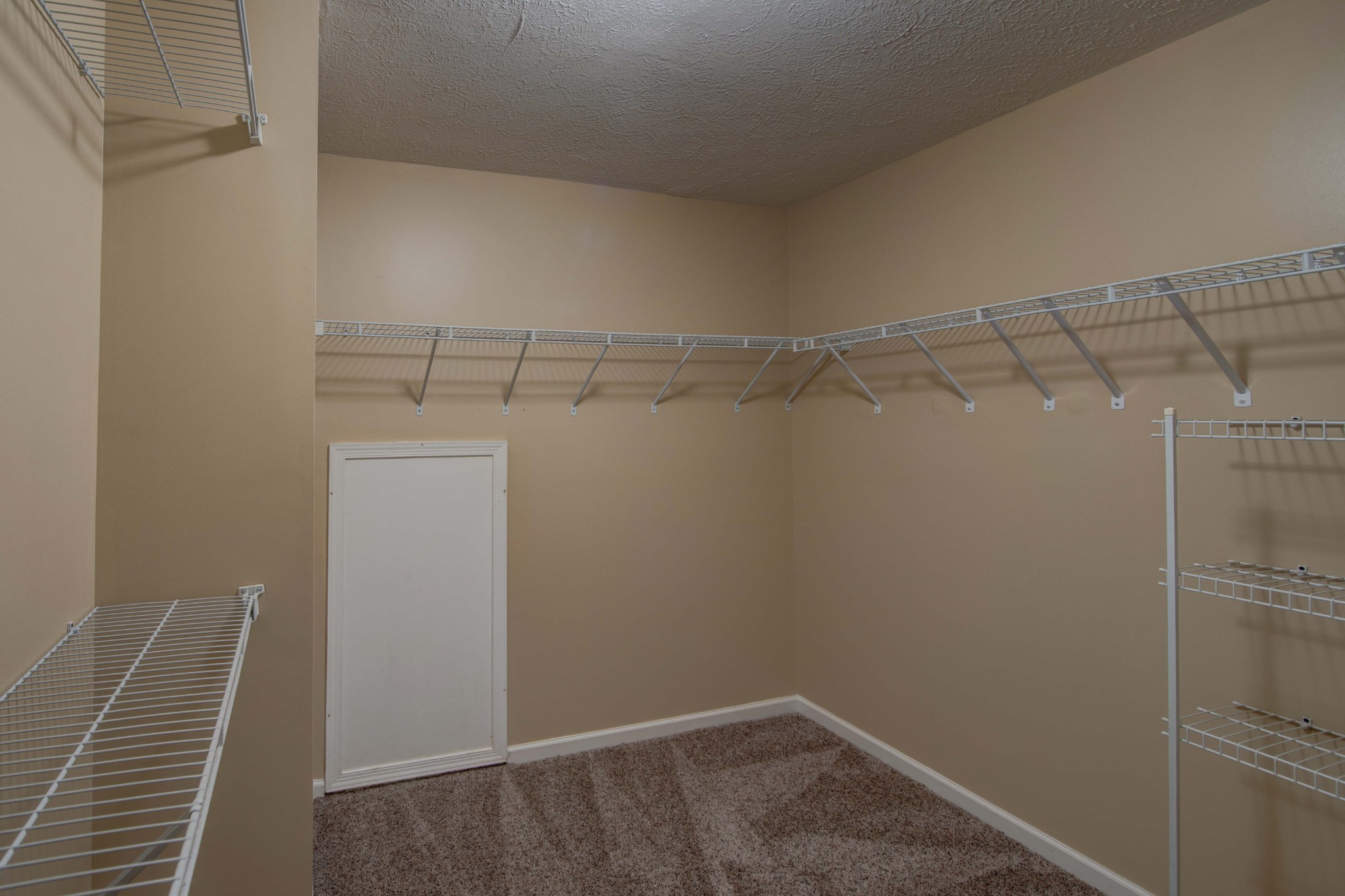 1033 Countess Lane Spring Hill, TN 37174 - Photo 31 of 44 Gallery Image 31