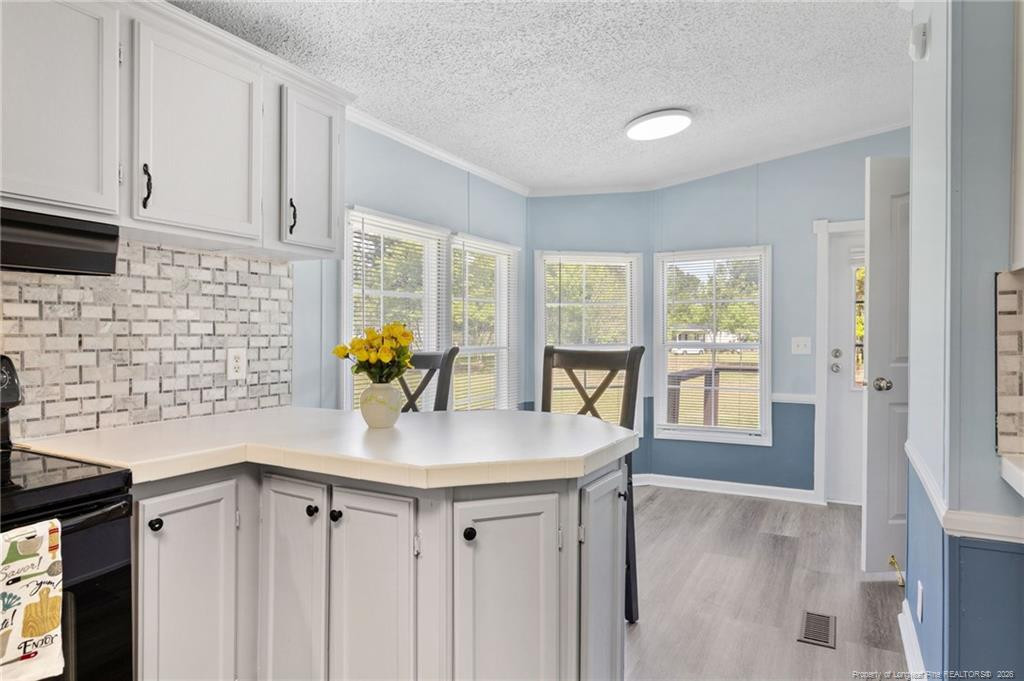 256 Summerhill Road Lumber Bridge, NC 28357 - Photo 12 of 41 Photo 12