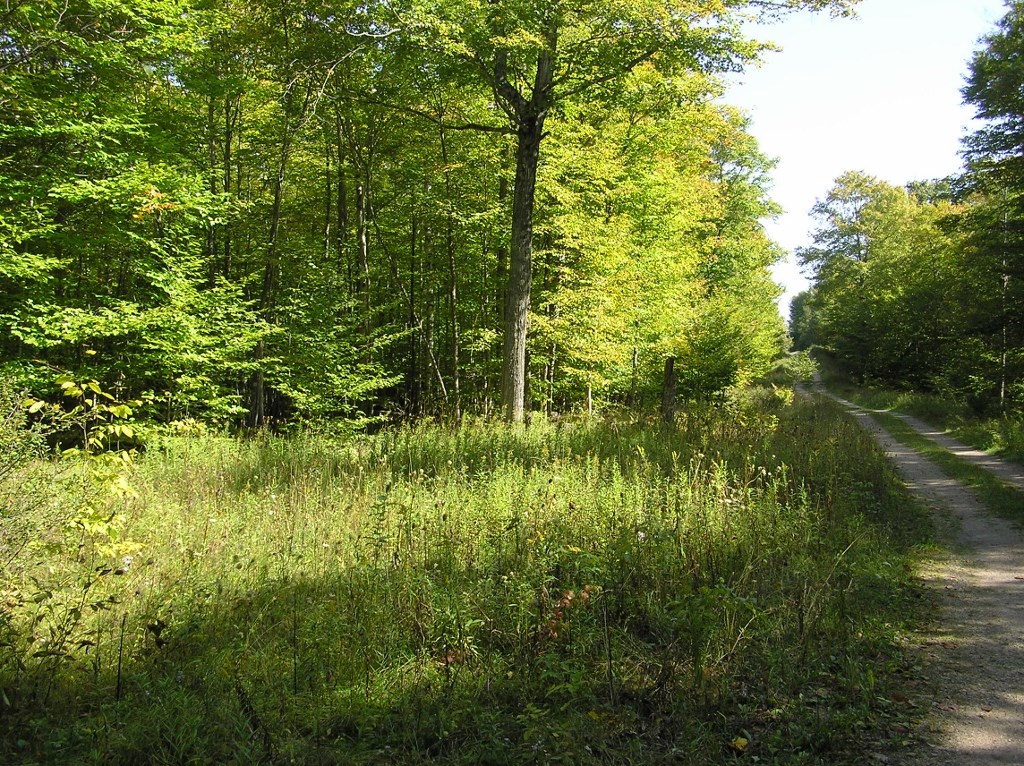 Tbd East Side Road Washington Island, WI 54246 - Photo 2 of 5