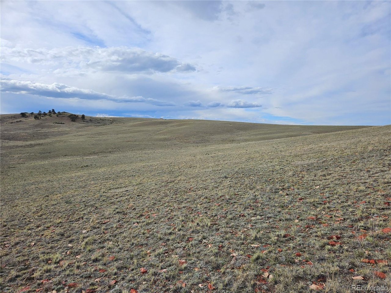 24139 Antero Road Hartsel, CO 80449 - Photo 12 of 35