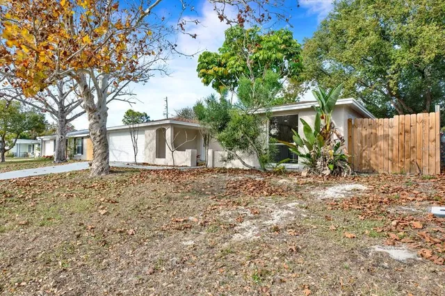 front view of a house with a tree