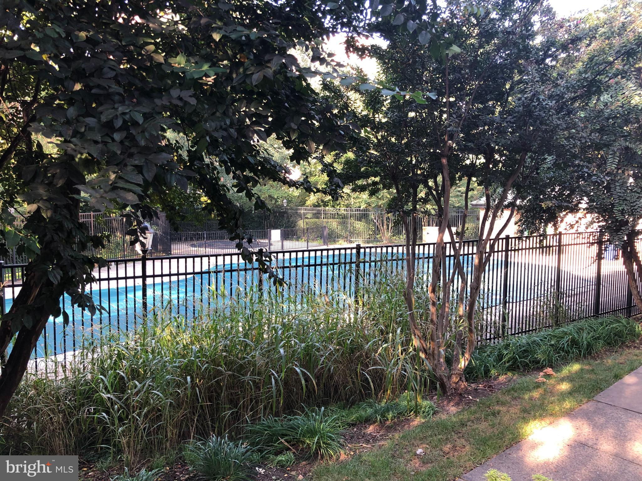 4907 29th Road South, Unit B1 Arlington, VA 22206 - Photo 20 of 20 Pool just outside your front door