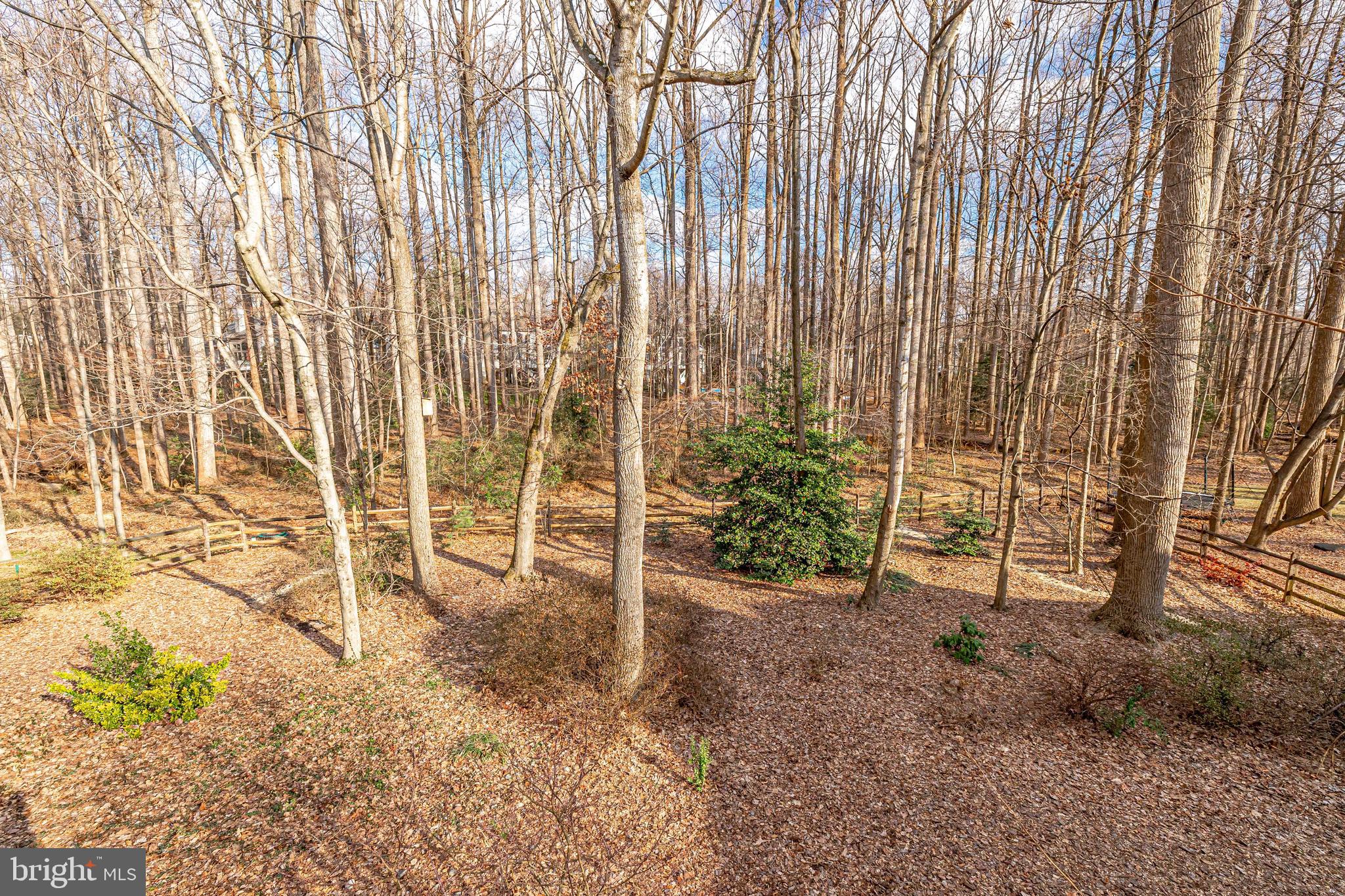 1100 Round Pebble Lane Reston, VA 20194 - Photo 54 of 69 Backs to Reston Association woods