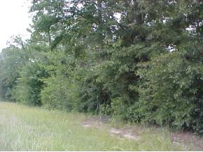 4830 Old Waynesboro Road Hephzibah, GA 30815 - Photo 1 of 1 Main View