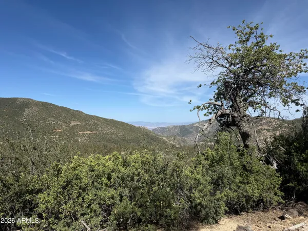 a view of a mountain
