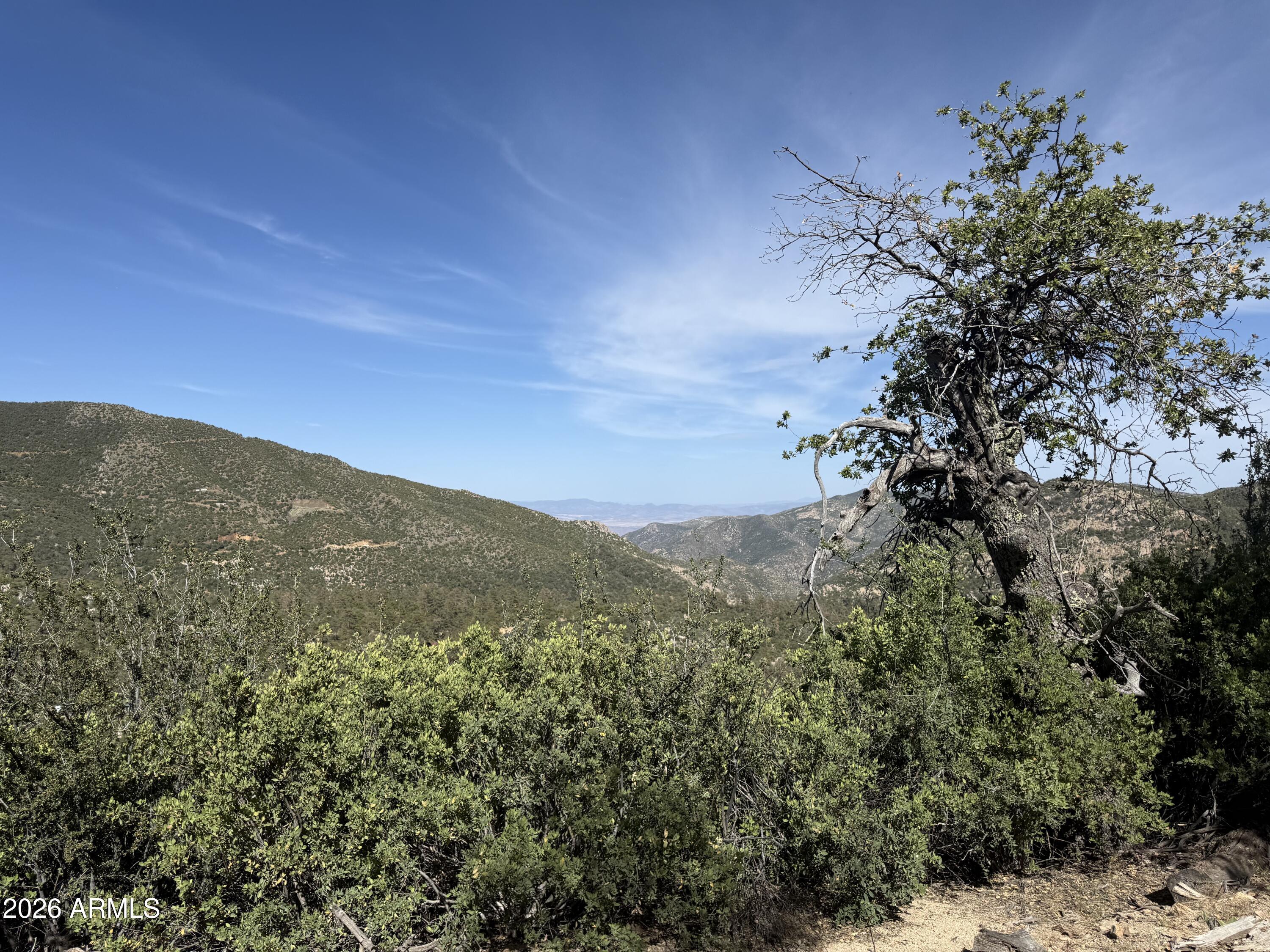 a view of a mountain