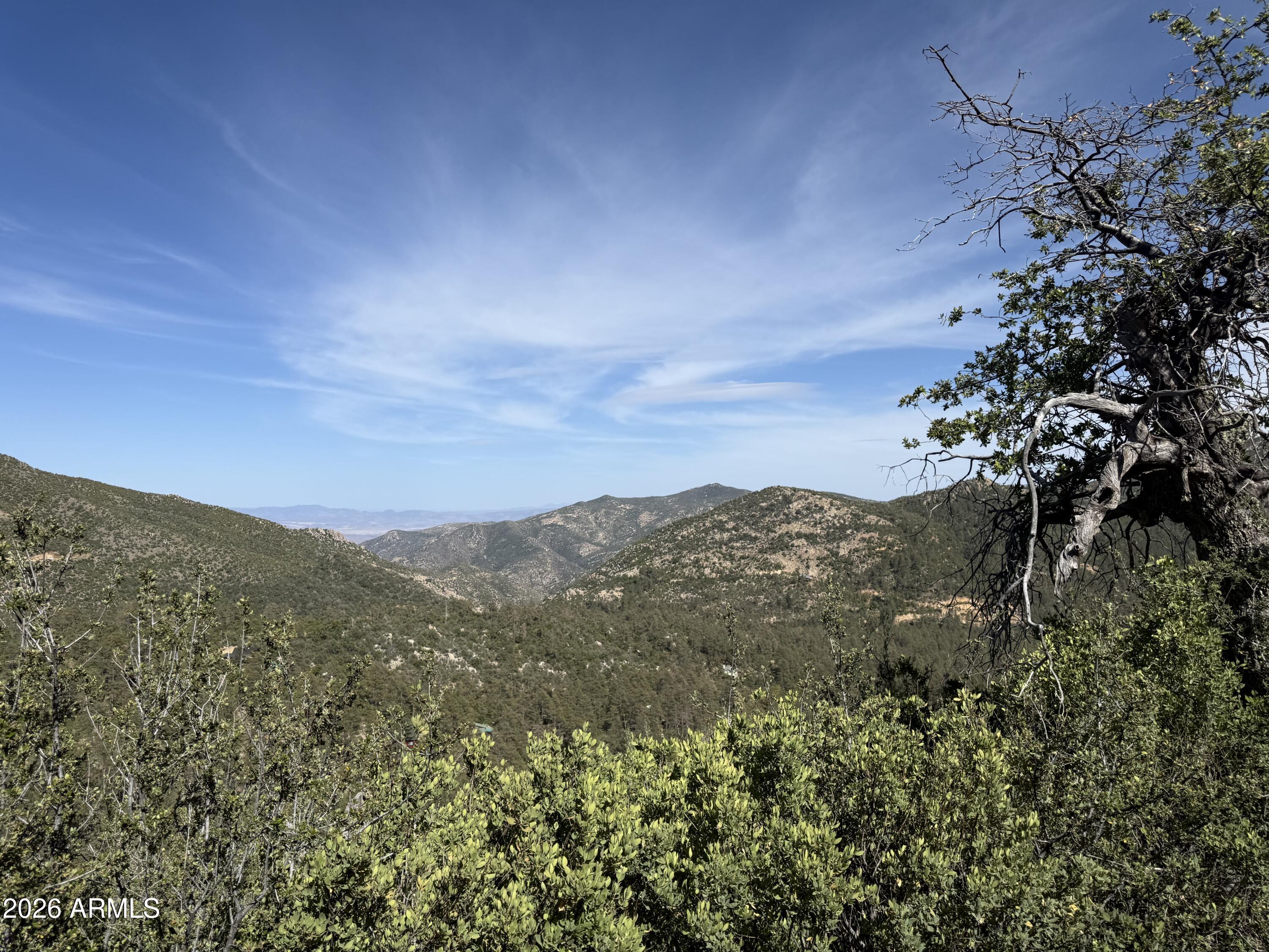 0 East Mountain View Road Crown King, AZ 86343 - Photo 6 of 6 a view of a mountain range with lush green forest