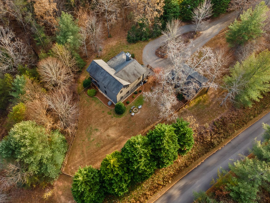 19 Chestnut Hills Lane Blue Ridge, GA 30513 - Photo 51 of 57 Gallery Image 51
