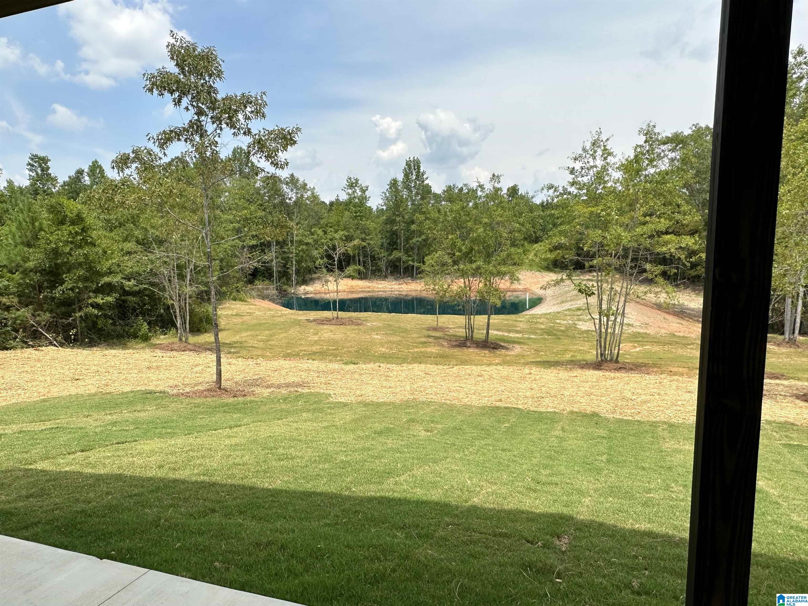 2619 County Road 75 Roanoke, AL 36274 - Photo 6 of 23