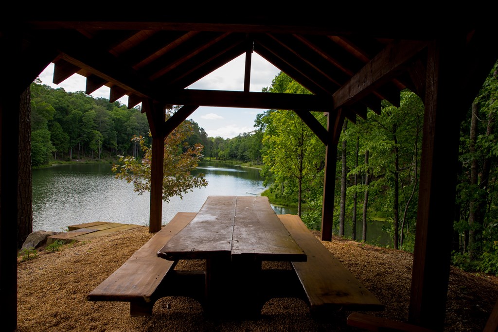 656 High River Road Ellijay, GA 30540 - Photo 54 of 55 Gallery Image 54