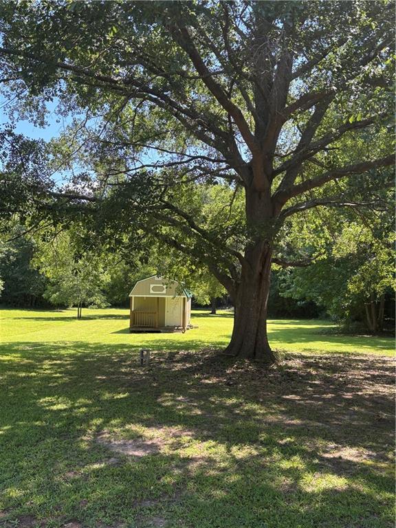 405 Crawfordville Road Union Point, GA 30669 - Photo 5 of 23
