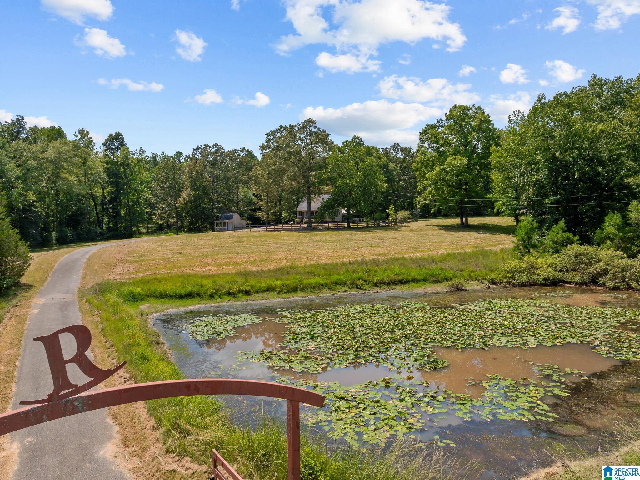 1695 Sanie Road Odenville, AL 35120 - Photo 38 of 63