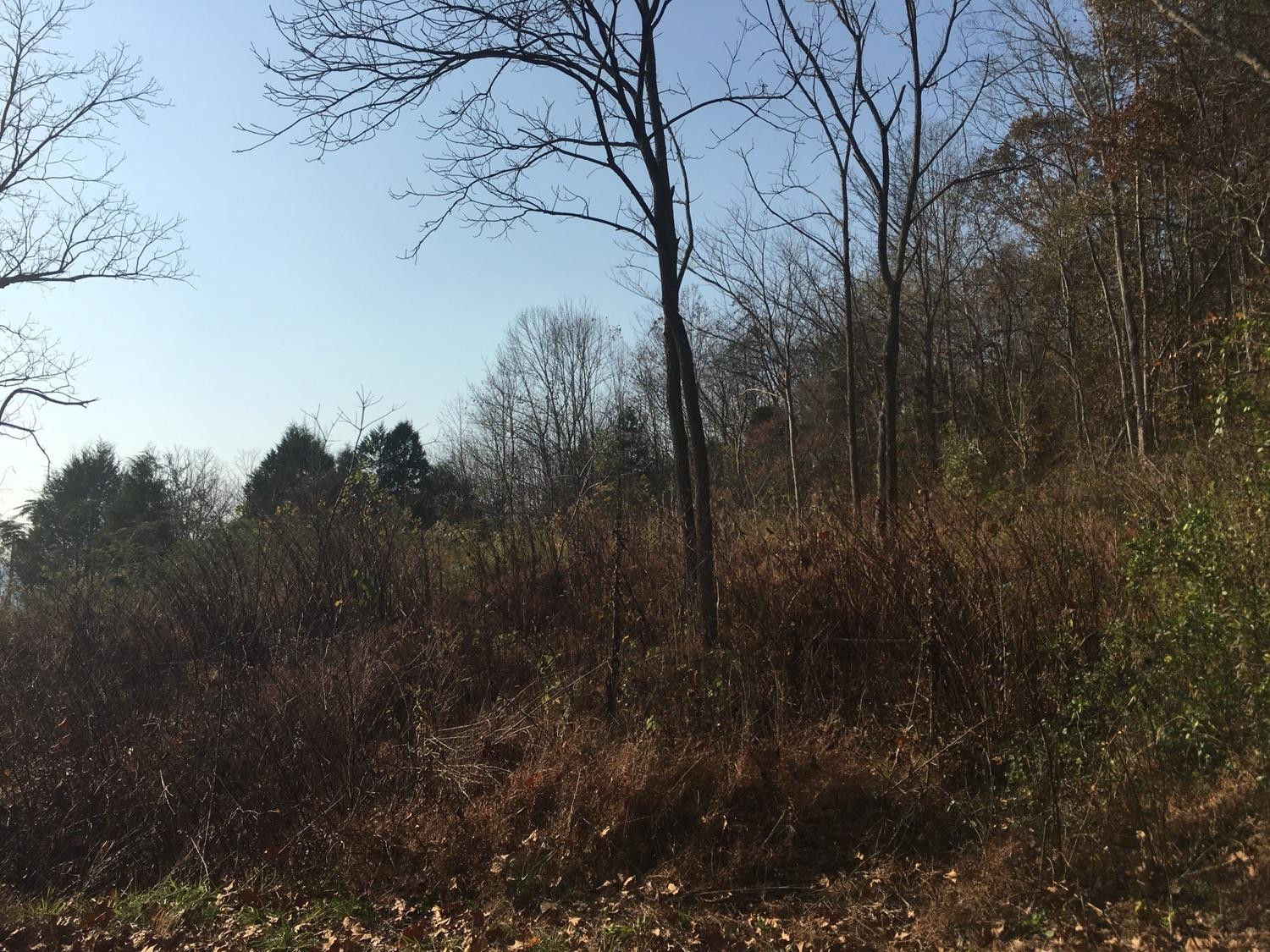 1133 Cane Creek Road Stanton, KY 40380 - Photo 8 of 22 Photo 8