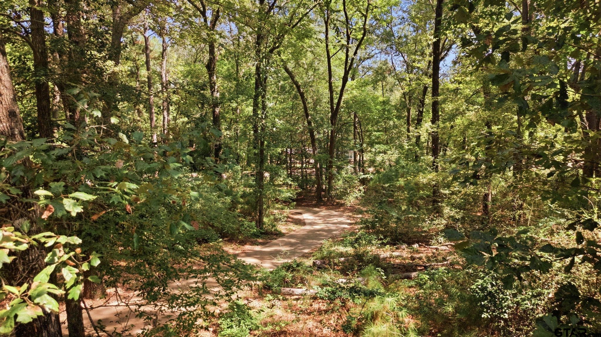 8670 Fm 1857 Rusk, TX 75785 - Photo 45 of 48 mature trees