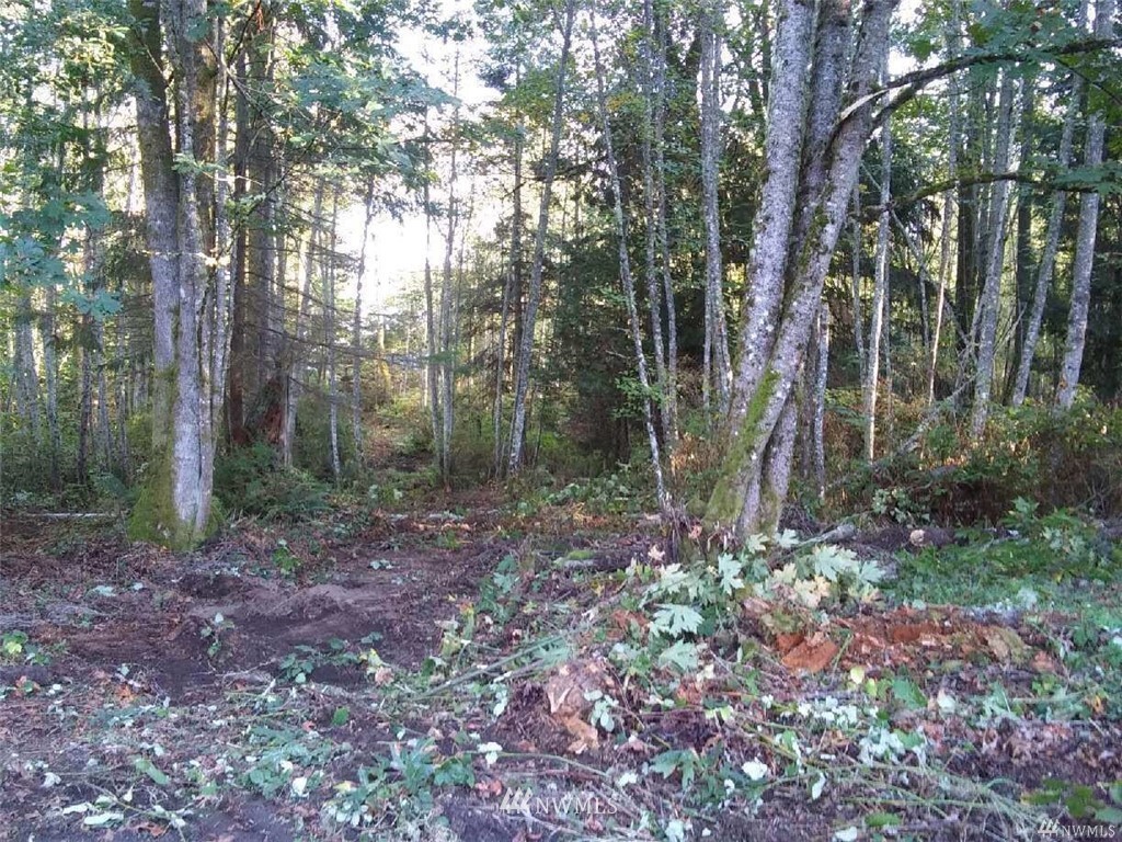 23044 Seatter Road Northeast Kingston, WA 98346 - Photo 1 of 1 Gallery Image 1