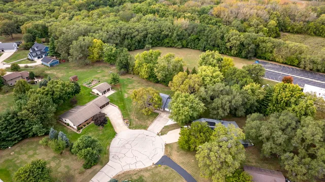 a view of a garden with plants