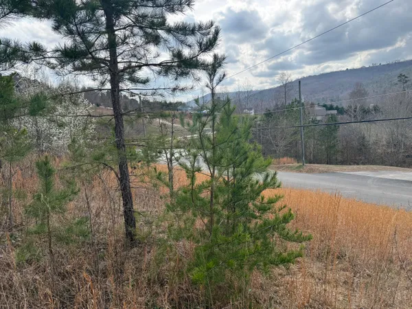 $149,900 | 10 Tanglewood Trail, Trenton, GA 30752